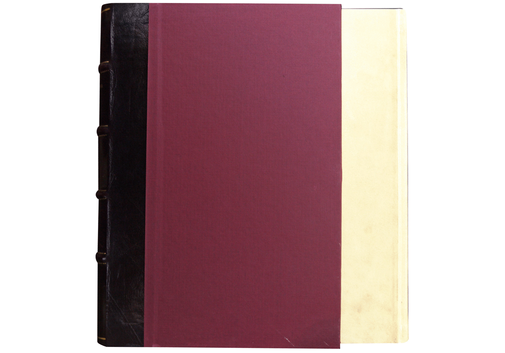 Hypnerotomachia Poliphili-Columna-Manuzio-Incunabula & Ancient Books-facsimile book-Vicent García Editores-11 Dust jacket